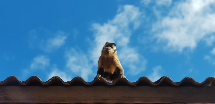 20181205_094304-700x340